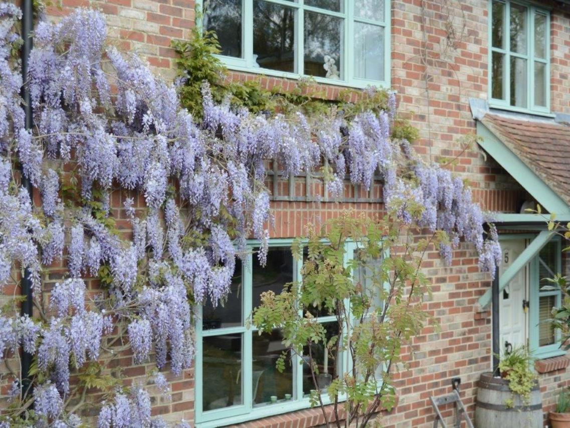 5 Charlton Mill Way B&B Чичестър Екстериор снимка